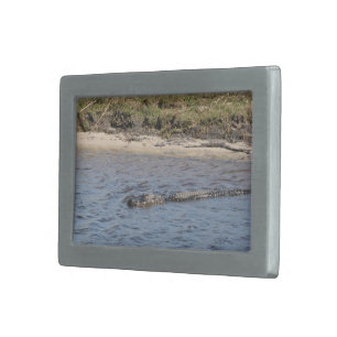 American Alligator in Florida Marsh Water Photo Belt Buckle