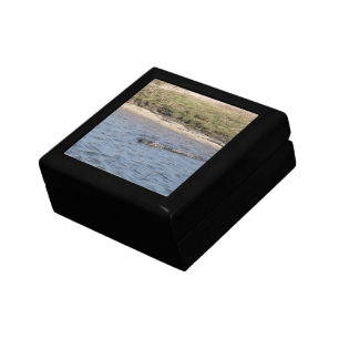 American Alligator in Florida Marsh Water Photo Jewelry Box