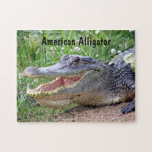 American Alligator Jigsaw Puzzle