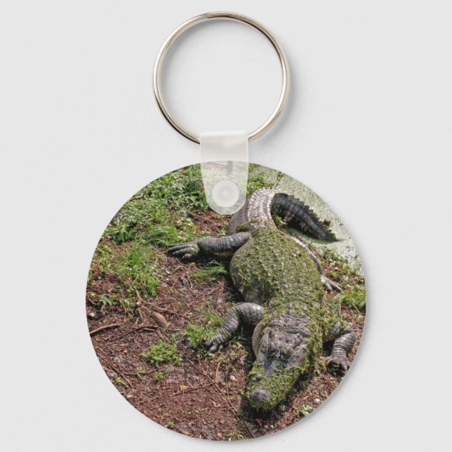 American Alligator Keychain (Front)