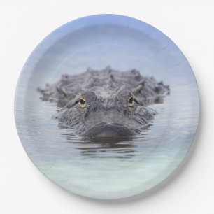 American Alligator – Lake Apopka Wildlife Drive Paper Plates