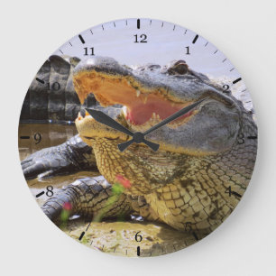 American Alligator Large Clock