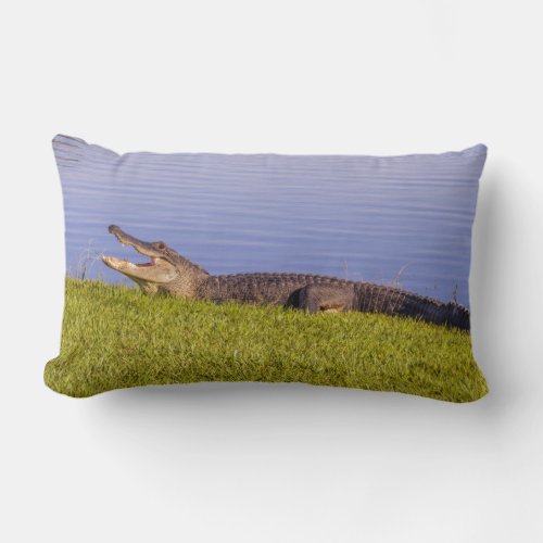 American alligator lumbar pillow