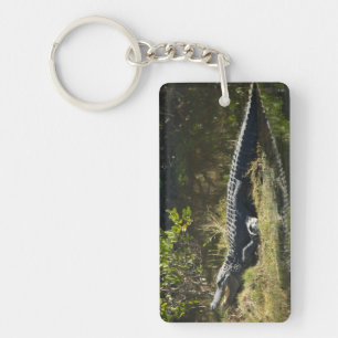 American Alligator on a Florida Grassy Bank Keychain