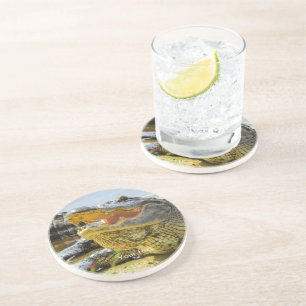 American alligator portrait coaster