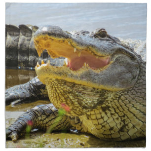 American Alligator portrait. Face to face Cloth Napkin