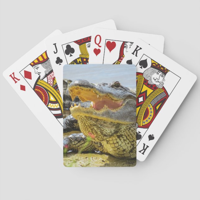 American alligator portrait - Face to face Poker Cards (Back)