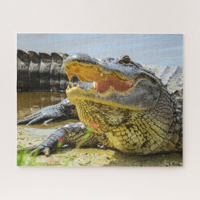 American Alligator portrait Jigsaw Puzzle (Horizontal)