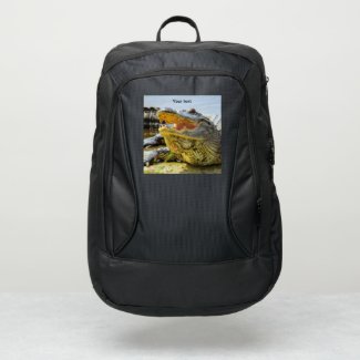 American alligator portrait photography 