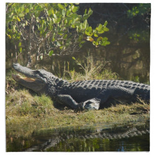 American Alligator Resting Along a Florida Wetland Cloth Napkin