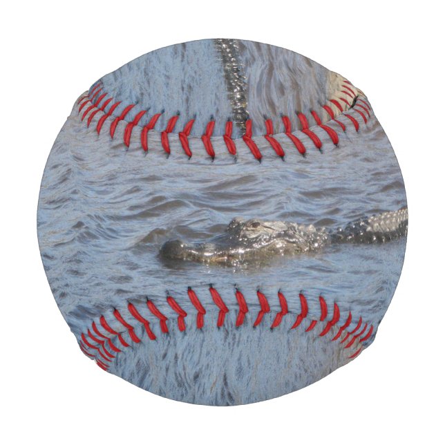 American Alligator Swimming in a Marsh River  Baseball (Front)