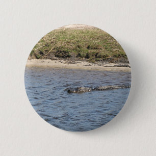 American Alligator Swimming in a Marsh River Photo Button