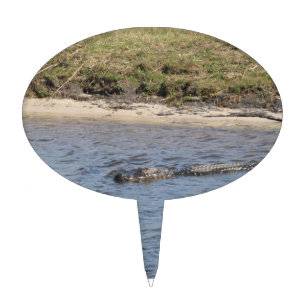 American Alligator Swimming in Florida Water Photo Cake Topper