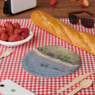 American Alligator Swimming Wildlife Nature Photo Paper Plates