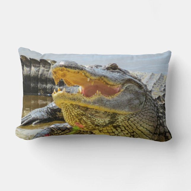 American Alligators  Face to face Lumbar Pillow (Front)