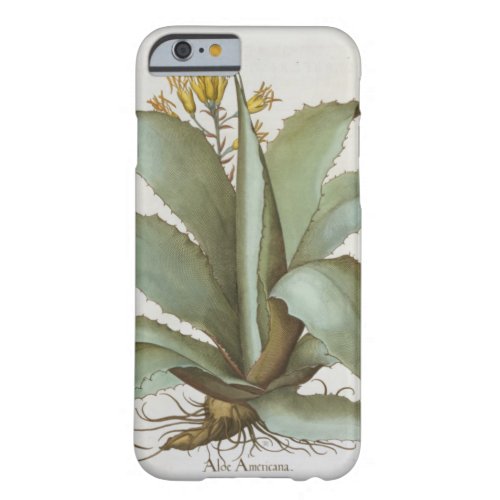 American Aloe Aloe Americana from the Hortus Ey Barely There iPhone 6 Case