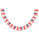 American and Canadian international wedding party