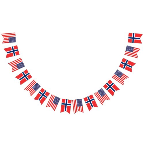 American and Norwegian international wedding party Bunting Flags