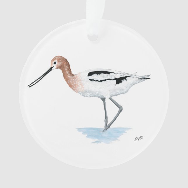 American Avocet Acrylic Ornament (Front)
