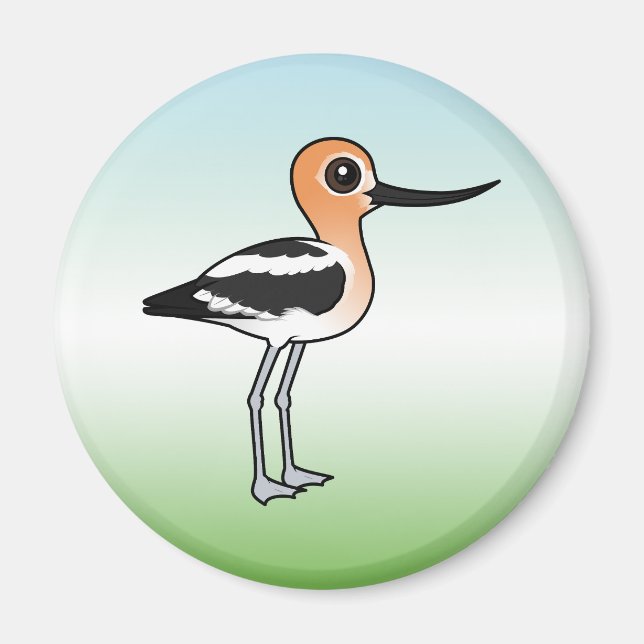 American Avocet Magnet (Front)