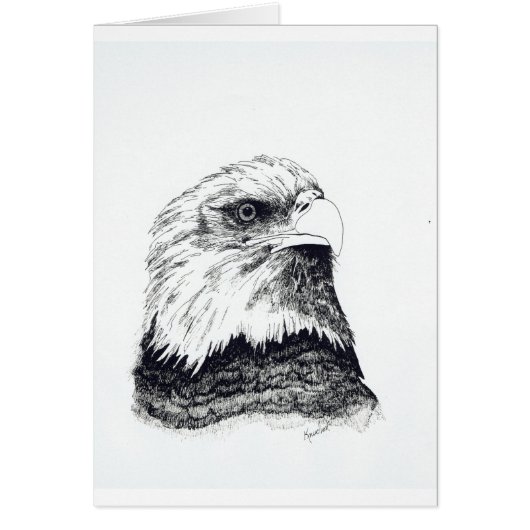 American Bald Eagle (Front)