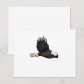 American Bald eagle (Front/Back)