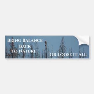 American Bald Eagle 8974 Bumper Sticker