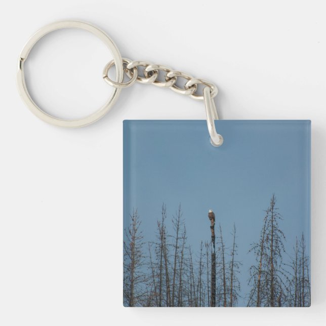 American Bald Eagle 8974 Keychain (Front)