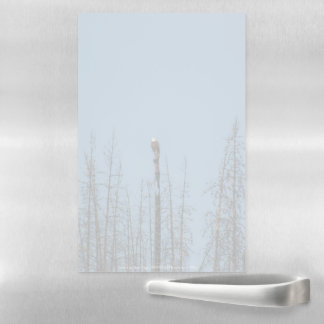 American Bald Eagle 8974 Magnetic Dry Erase Sheet