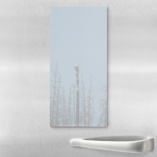 American Bald Eagle 8974 Magnetic Notepad