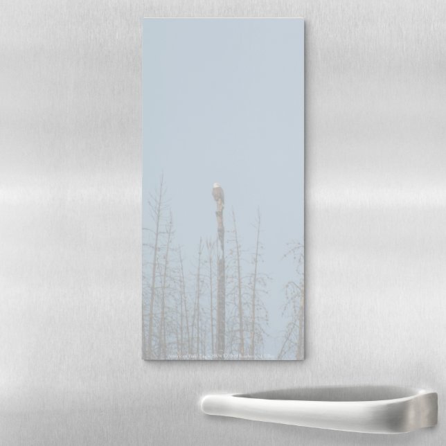 American Bald Eagle 8974 Magnetic Notepad (In Situ)