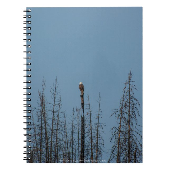 American Bald Eagle 8974 Notebook (Front)