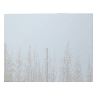 American Bald Eagle 8974 Notepad