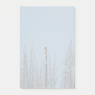 American Bald Eagle 8974 Post-it Notes
