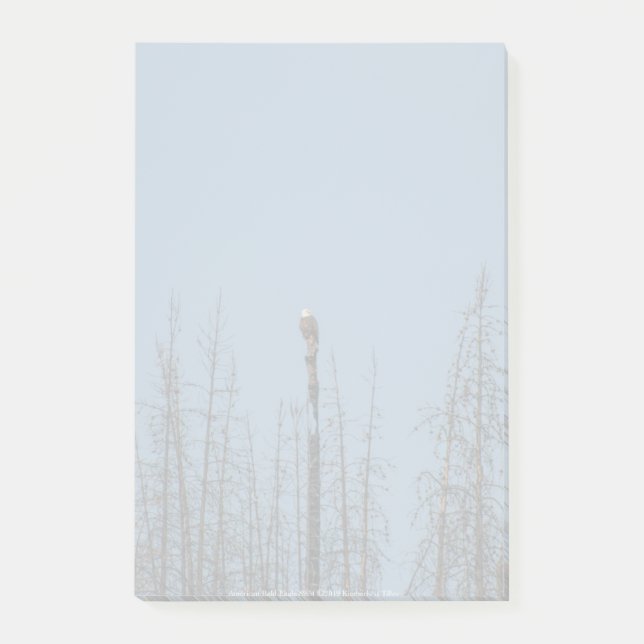 American Bald Eagle 8974 Post-it Notes (Front)