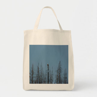 American Bald Eagle 8974 Tote Bag