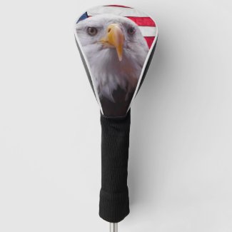 American Bald eagle and American Flag
