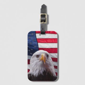 American Bald eagle and American Flag