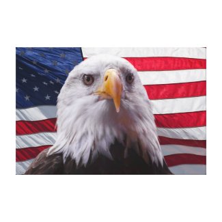 American bald eagle and Flag