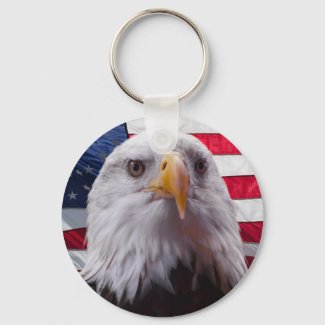 American Bald eagle and Flag