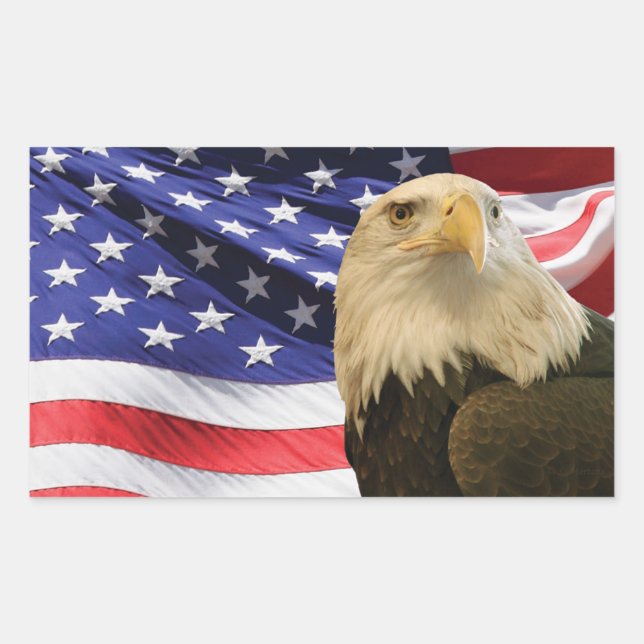 American Bald Eagle and Flag Rectangular Sticker (Front)