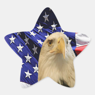 American Bald Eagle and Flag Star Sticker