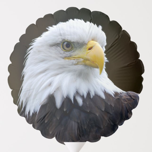 American Bald Eagle Balloon (Back)