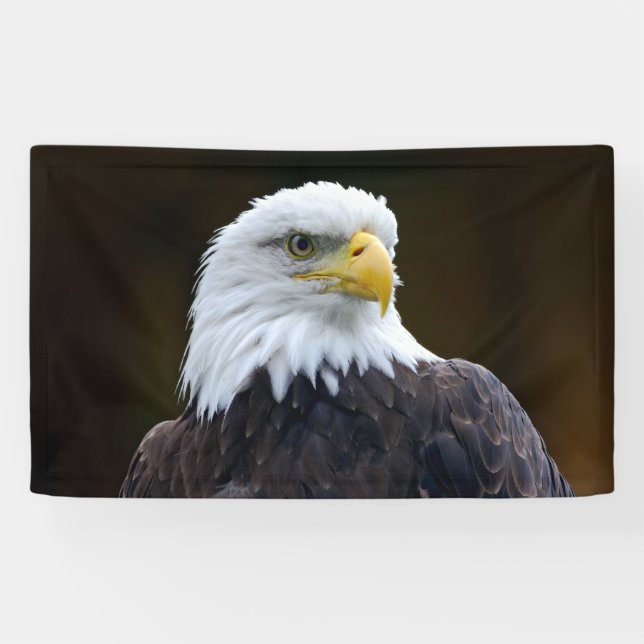 American Bald Eagle Banner (Horizontal)