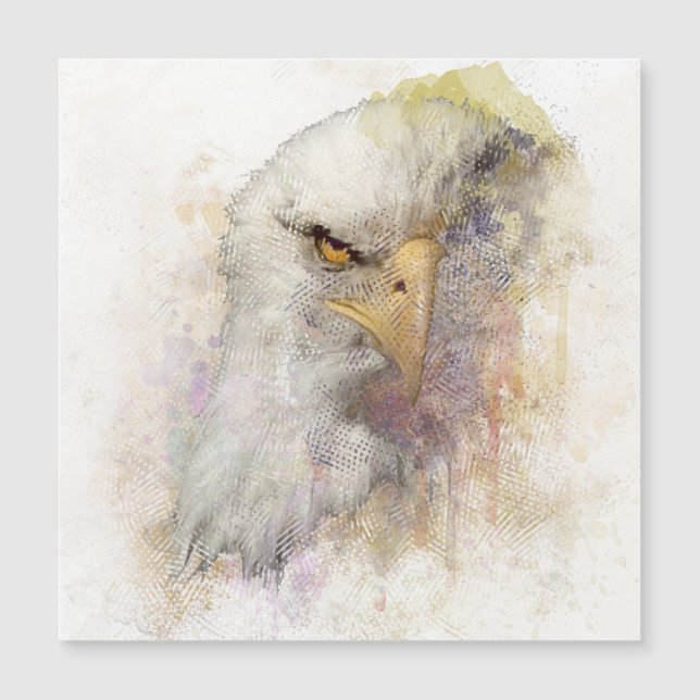 American Bald Eagle Bird Of Prey Watercolor (Front)