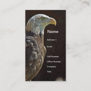 American Bald Eagle Business Card