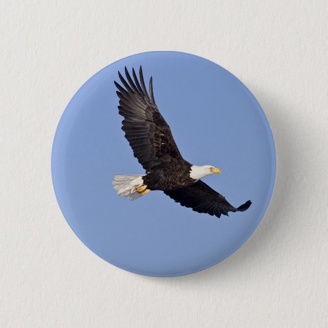 American Bald Eagle Button (Front)