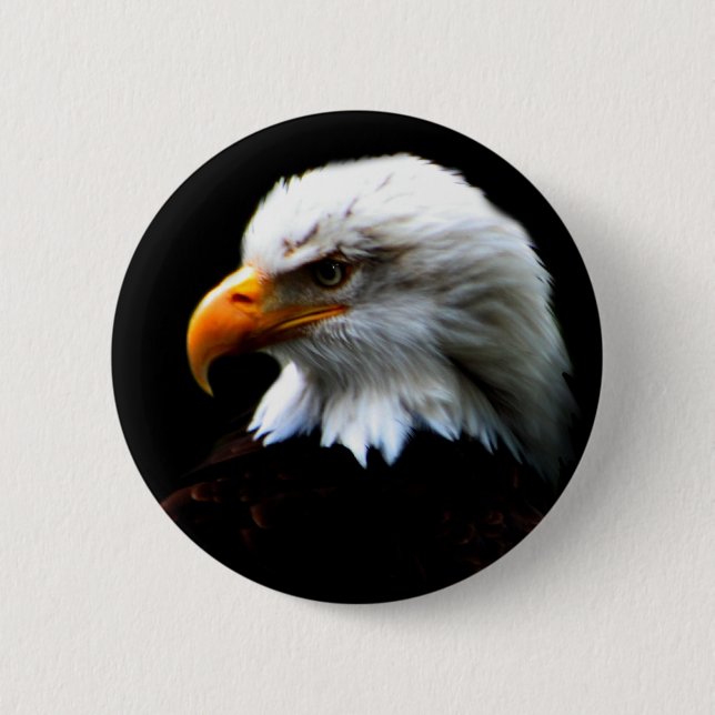 AMERICAN BALD EAGLE BUTTON (Front)