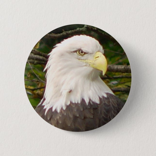 American Bald Eagle Button (Front)