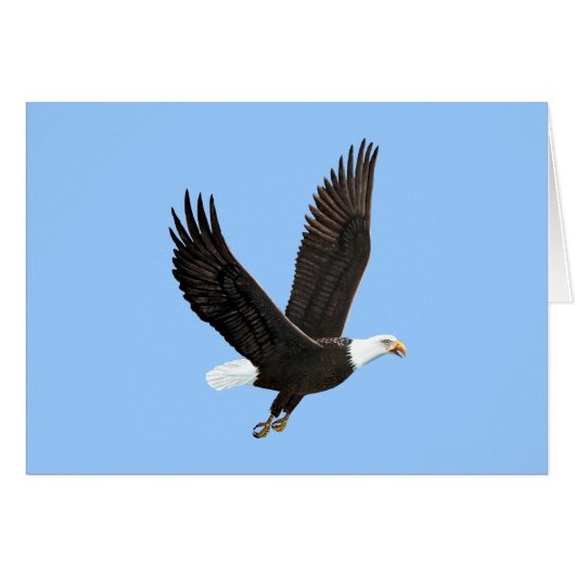 American Bald Eagle Card (Front Horizontal)